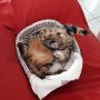 Pendant qu'on bosse, une autre sieste à Nouméa !