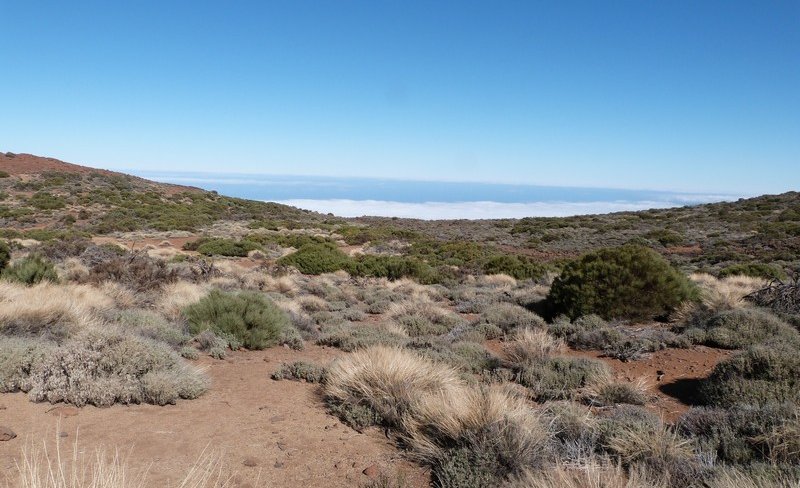Parc du Teide