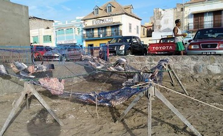 Le poisson qui sèche