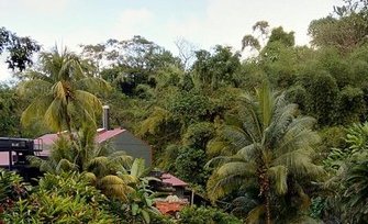 L'eau qui sert à la fabrication du rhum JM
