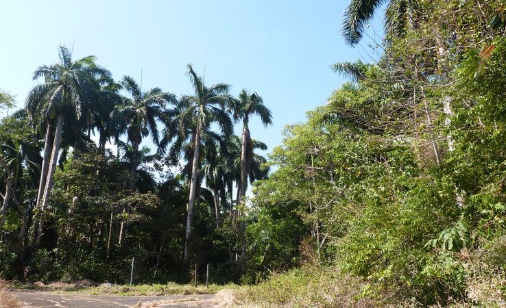 p1050124.jpg