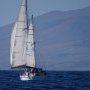 Toutes voiles dehors