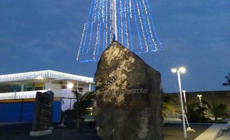 Le sapin