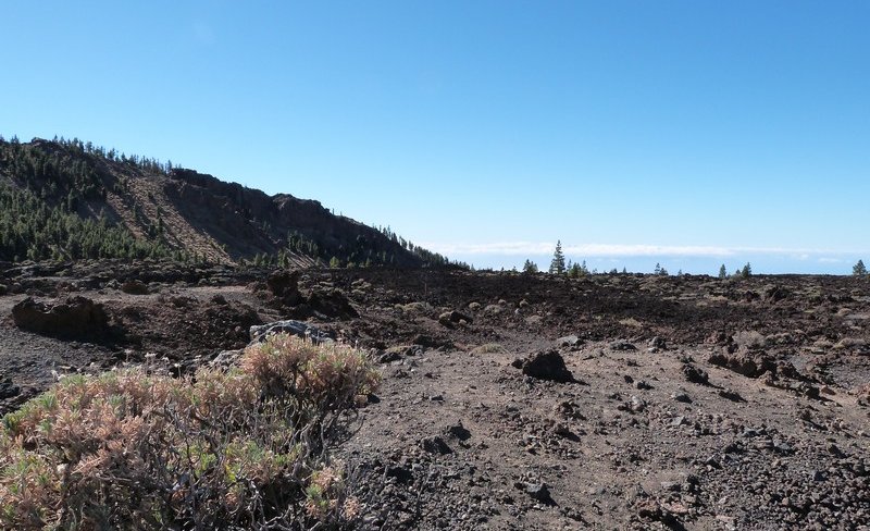Parc du Teide