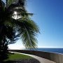 Pointe Venus
