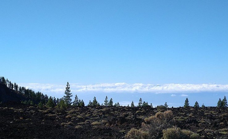 En montant au Teide