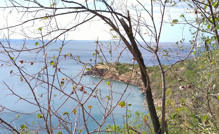 Côté ouest Basse terre