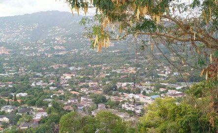 Kingston